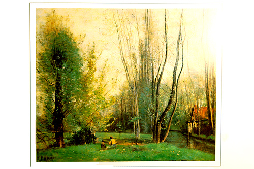 340834310_9f05d91698